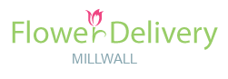 Flower Delivery Millwall 