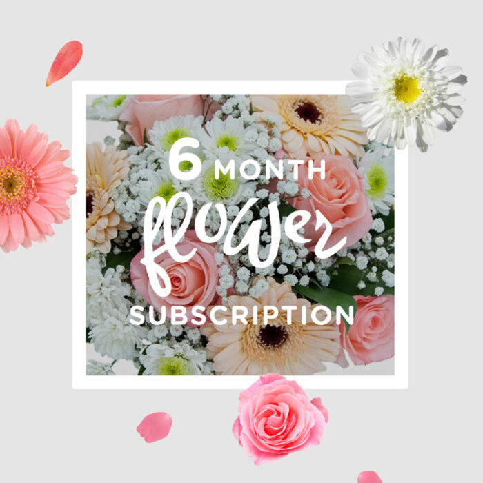 The image shows a tender, pastel bouquet that seems to glow softly, much like the filtered daylight that falls across the riverside paths in Millwall. At its core are pastel pink roses, perfectly formed and gently opening, their velvety petals layered in tight, romantic spirals that catch the light along each ruffled edge. Surrounding them, pale peach and blush gerberas unfurl like miniature suns, their broad, smooth petals arranged in immaculate circles around textured centres, adding a modern, cheerful note to the design. Floating between these larger heads is a fine veil of white gypsophila, the tiny, cloud-like blossoms giving the impression of floral breath or mist, making the arrangement feel especially airy and light. Interspersed are white chrysanthemums, their crisp, multi-petalled blooms adding a slightly more structured, almost sculpted texture that keeps the pastel palette from becoming too sweet. The stems are neatly gathered, with hints of fresh green foliage peeking through, suggesting a bouquet that is both freshly cut and thoughtfully composed. The colours remain soft and harmonious-blush, peach, and snow white-creating a mood of optimism and gentle delight suitable for almost any occasion: a get-well wish for someone in a nearby Millwall flat, a thank-you for a kind neighbour, or a subtle celebration in a dockside office. You can almost feel the cool satin of the gerberas against your palm and imagine the faint, clean scent of fresh stems and rose petals in the room. Presented as part of a subscription, this bouquet speaks of steady care and artistry, arriving regularly to keep spaces along the Isle of Dogs filled with light, texture, and quiet happiness.