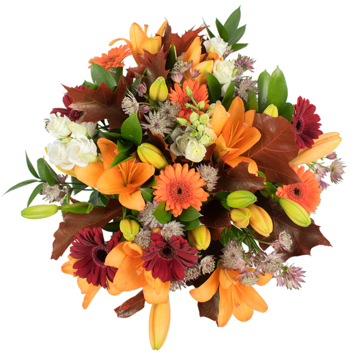 A lush, vibrant autumnal bouquet shown from slightly above, photographed against pristine white to let its warm palette take centre stage. At the core are large, fully bloomed orange Asiatic lilies with trumpet-shaped petals that curve open in elegant waves; surrounding them are many tightly closed lily buds in soft orange and bright green that promise staggered flowering. The design is punctuated by bright orange Gerbera daisies and deep burgundy Gerberas, each with a dark central eye that adds rustic charm and vivid contrast. Creamy white lisianthus blooms, their ruffled petals layered like silk, offer a soothing counterpoint to the bolder colours, while muted purple Astrantia sprigs lend an intricate, starry texture that lifts the bouquet and adds visual airiness. Prominent, broad lobed leaves in rich reddish-brown-reminiscent of oak or maple-are carefully placed to suggest fallen leaves and to reinforce the seasonal theme, complemented by fresh green foliage and slender stems that create balance and movement. The arrangement is tightly gathered and appears freshly prepared, the bright studio lighting emphasizing petal sheen, subtle shadows, and the tactile interplay of smooth, papery, and feathery textures. Crafted with local sensibility, this harvest-toned composition would be equally at home on a Millwall dining table or as a thoughtful gift delivered across the Isle of Dogs; Flower Delivery Millwall might select this for a Thanksgiving-style centrepiece or an autumn birthday, celebrating the warmth and bounty of the season.