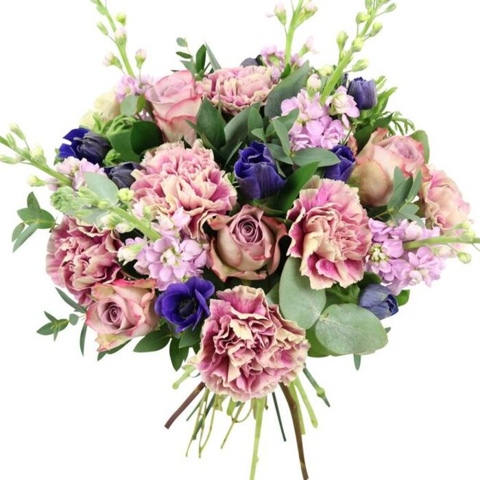 Against a bright, uncluttered white background, this hand-tied bouquet glows with a sophisticated mix of pinks, purples, and blues, the kind of arrangement you might imagine being created for a special Millwall celebration overlooking the river. Large garden roses in full, open bloom form the focal point, their tones shifting gently from soft blush through dusty rose to deeper mauve, each bloom layered with velvety petals that curl outwards in loose spirals. Around them, a profusion of frilled carnations adds volume and texture, their petals displaying nuanced gradients from creamy, almost beige centres to soft blush pink and then to richer rose at the tips. Cutting through these gentle shades are dramatic accents of deep indigo and royal blue flowers, some appearing as sleek, closed buds, others more open, alongside a standout royal blue anemone whose almost black centre gives the entire design a striking anchor. Pale lavender and lilac stock flowers rise on slender stems, dotted with clusters of small blossoms that add a light, airy touch and a subtle floral scent. The blooms are woven through with generous foliage: dark green leaves provide structure, while round, silvery eucalyptus leaves spill gently outward, suggesting freshness and natural movement. Exposed stems at the base reveal the careful tying and spiralling typical of a skilled florist's hand-tied design. The bouquet's refined yet welcoming palette evokes romance and thoughtful care, making it a fitting choice for Millwall anniversaries, elegant birthday surprises, or simply bringing a sense of calm, contemporary beauty to a home near Mudchute Park or along Manchester Road.